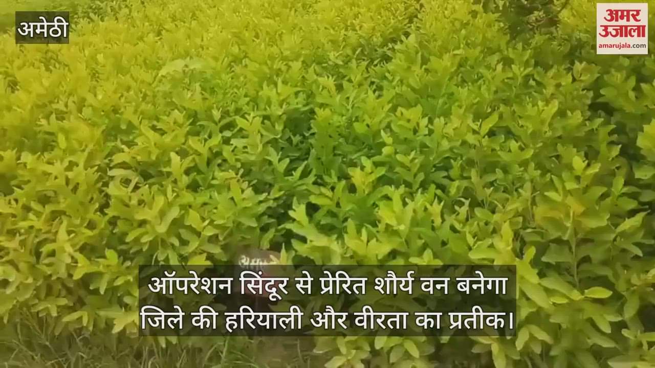 अमेठी में ऑपरेशन सिंदूर से प्रेरित शौर्य वन बनेगा जिले की हरियाली और वीरता का प्रतीक