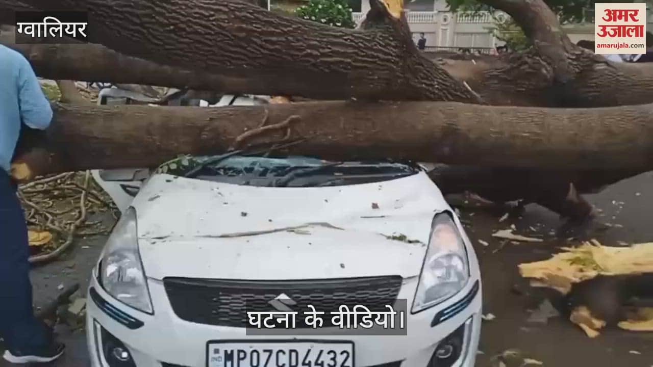 Tree falls on a moving car in Gwalior, three people injured, people angry