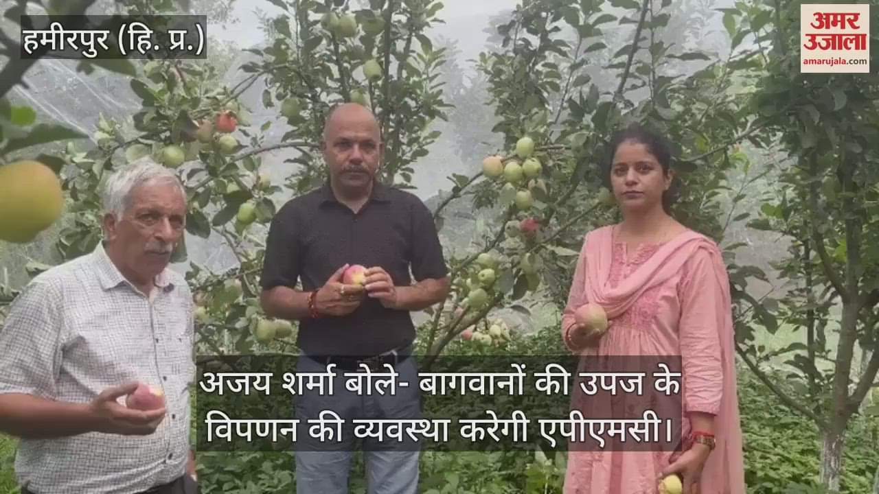 Ajay Sharma said- APMC will make arrangements for marketing of the produce of the gardeners