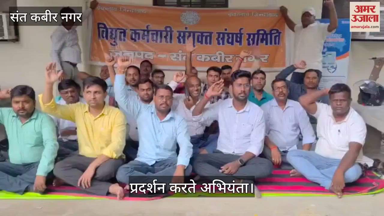 Electricity workers staged a sit-in protest against privatisation