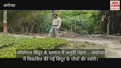 Unique initiative in honor of Operation Sindoor ... Nursery of sindoor plants developed in Ayodhya Unique initiative in honor of Operation Sindoor ... Nursery of sindoor plants developed in Ayodhya