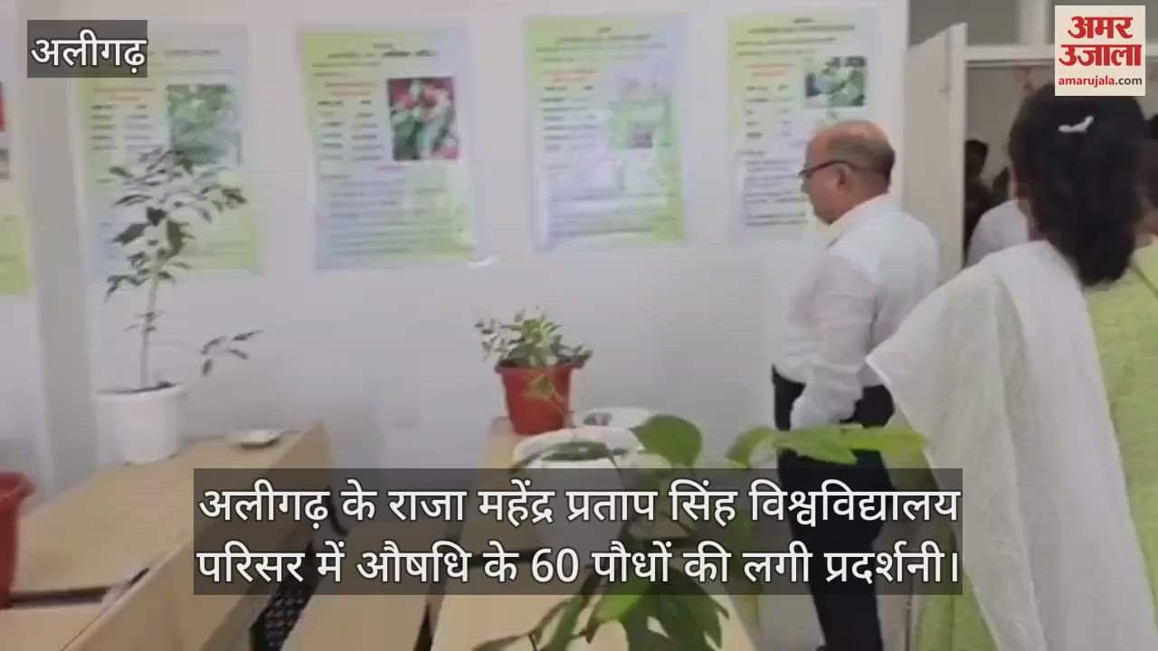 अलीगढ़ के राजा महेंद्र प्रताप सिंह विश्वविद्यालय परिसर में औषधि के 60 पौधों की लगी प्रदर्शनी