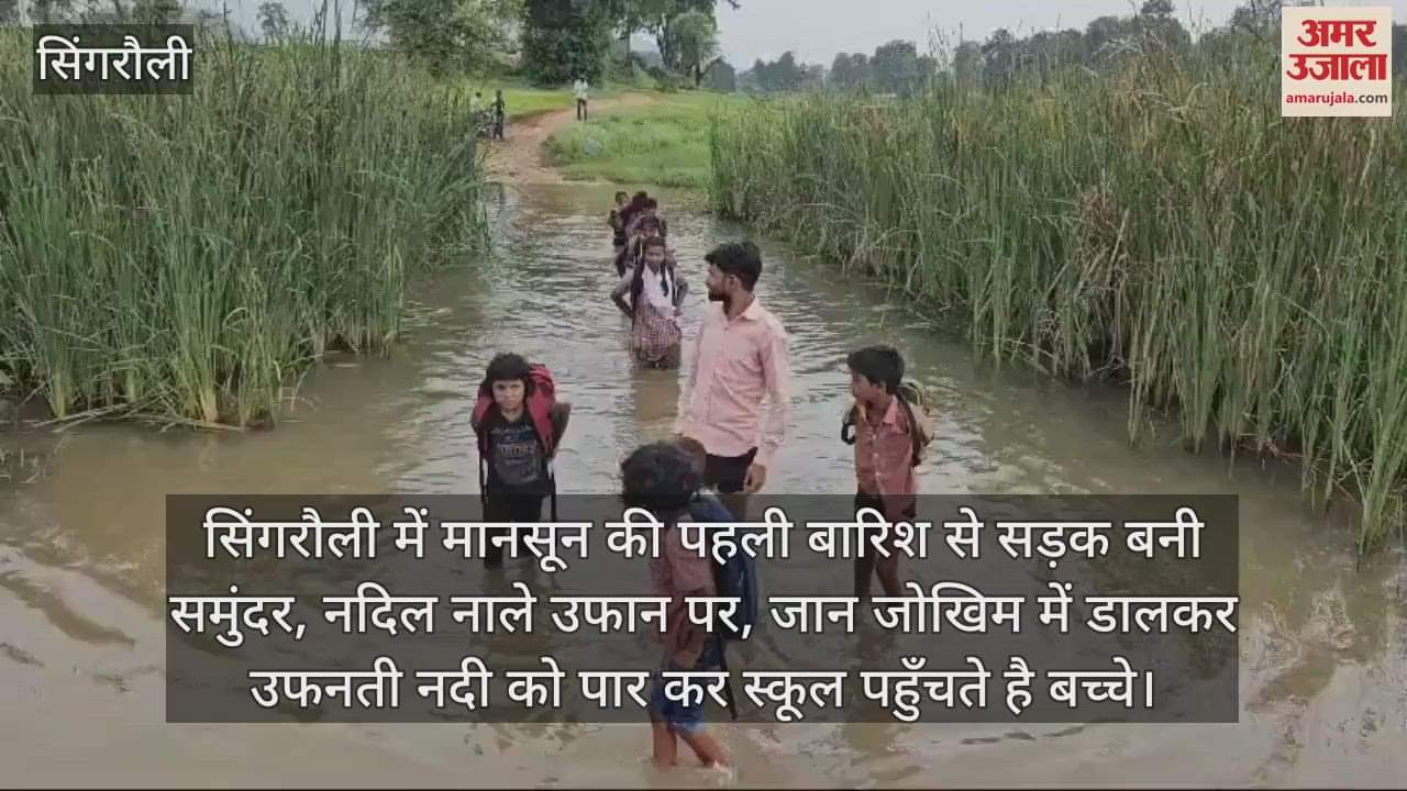 Singrauli News: Rivers and streams overflow in the first rain of monsoon