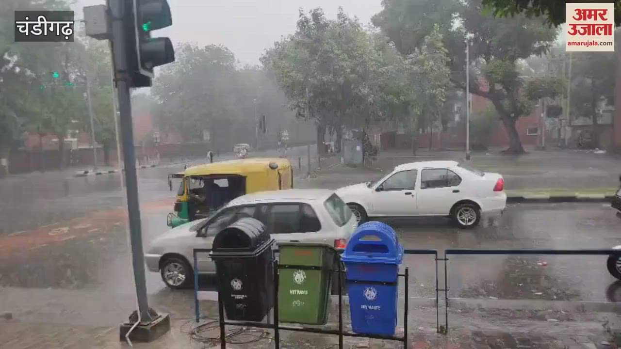 Rain in Chandigarh Mohali Panchkula