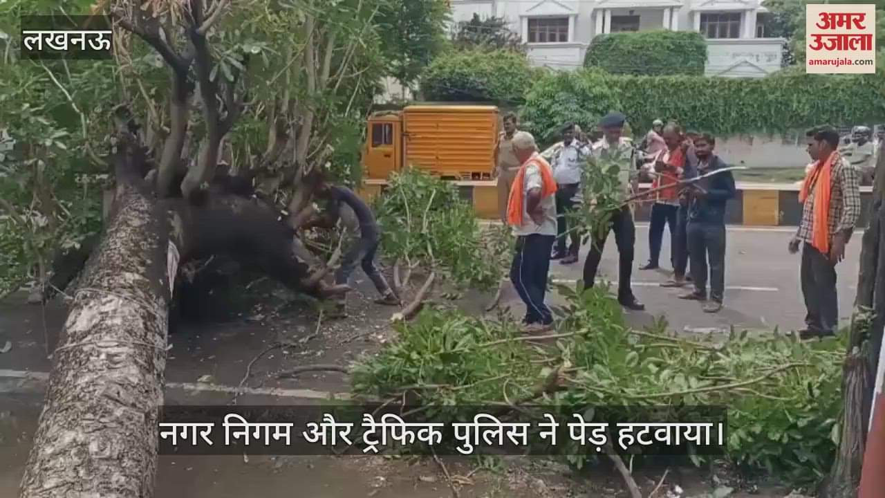 VIDEO: रात में हुई बारिश से सड़क पर गिरा पेड़, यातायात रोका गया