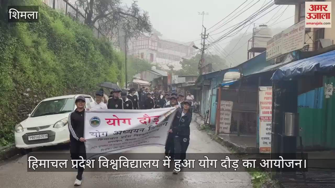 Shimla: Yoga race organized in Himachal Pradesh University