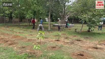 More than 500 plants were planted in Vijay Park of PGI Rohtak