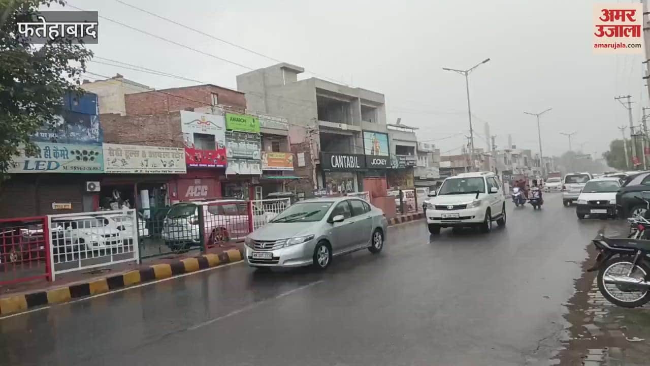 Rain in Fatehabad relief from heat