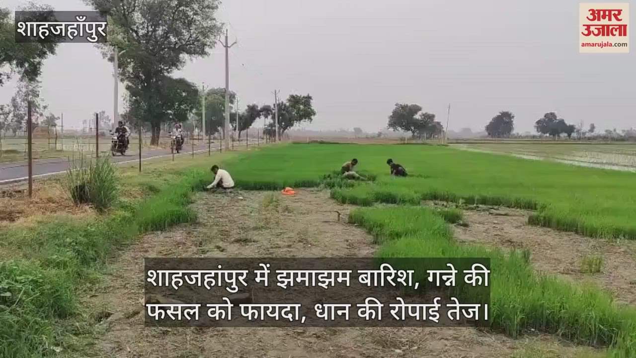 Heavy rain in Shahjahanpur