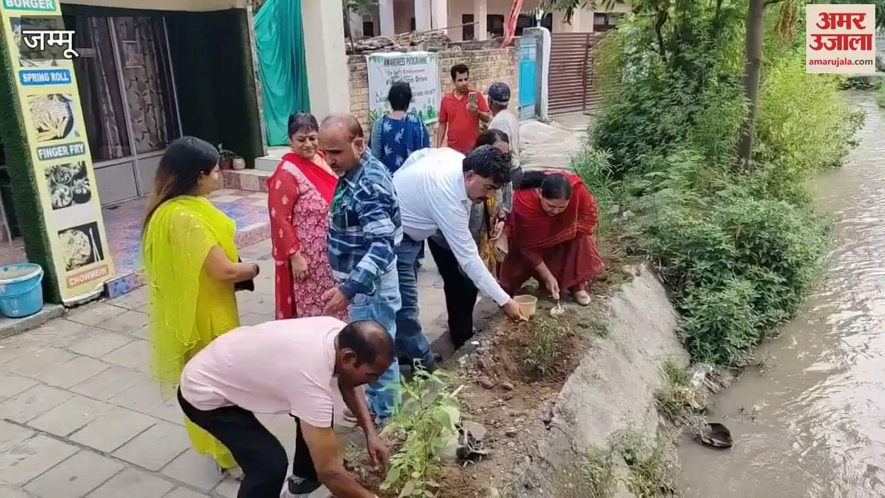 Tree plantation drive of Lighted Women Welfare Society in Jammu, thousands of saplings will be planted