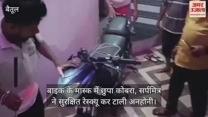 Betul News Poisonous cobra hidden in the handle of the bike