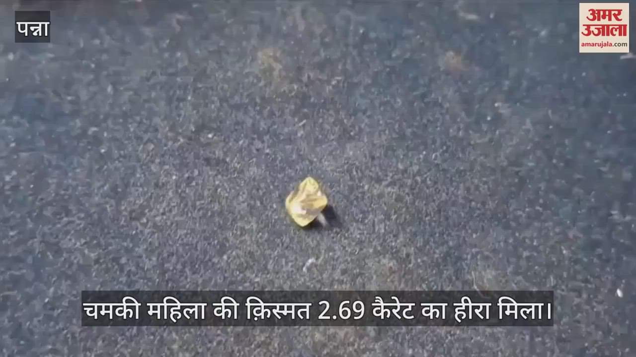 After 2 years of hard work, the woman's luck shone, she found a 2.69 carat diamond