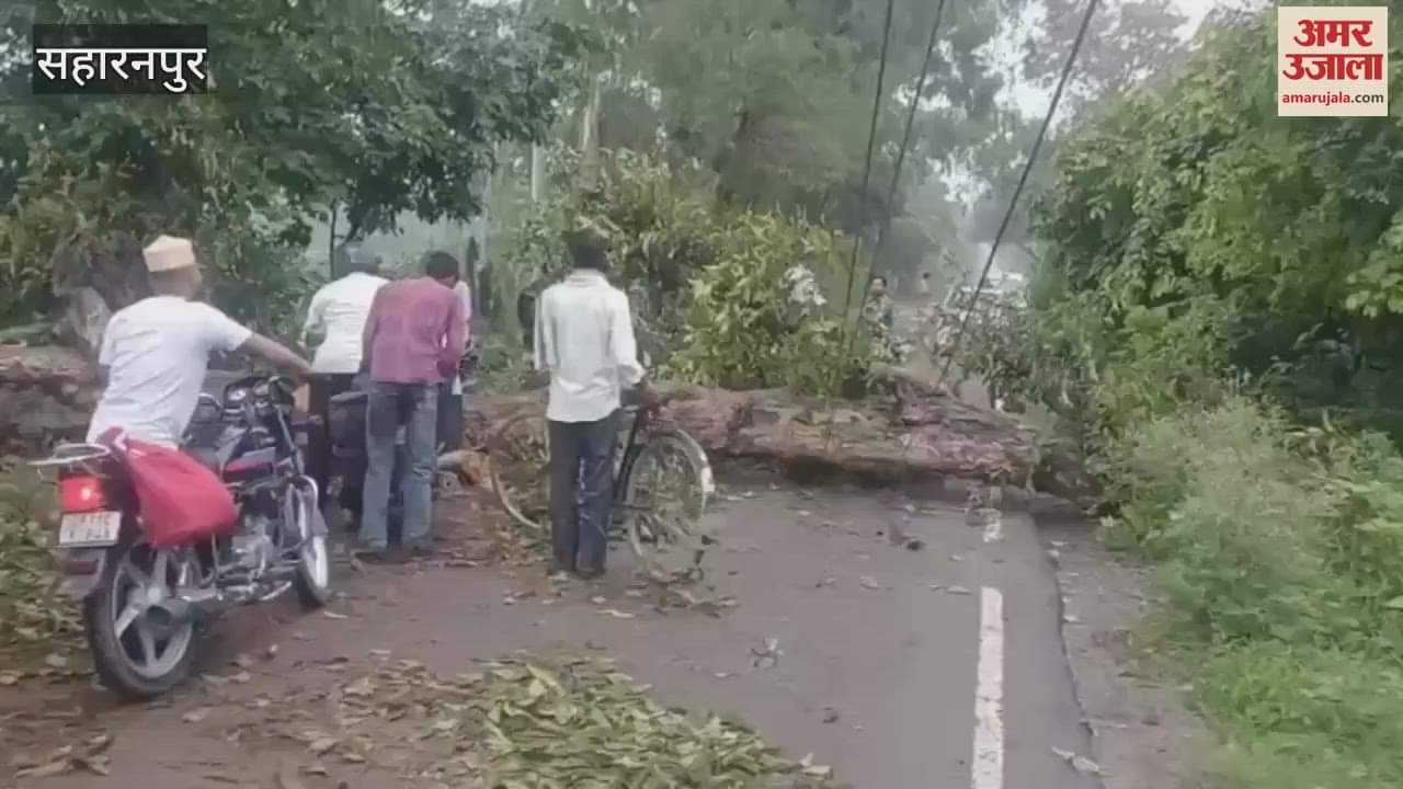 Saharanpur:Tree Falls on Road in Chilkana, 5 Electric Poles Break, Traffic and Power Supply Disrupted