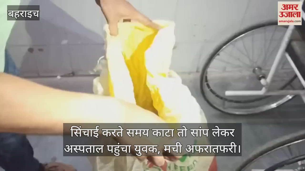 बहराइच में सिंचाई करते समय काटा तो सांप लेकर अस्पताल पहुंचा युवक, मची अफरातफरी