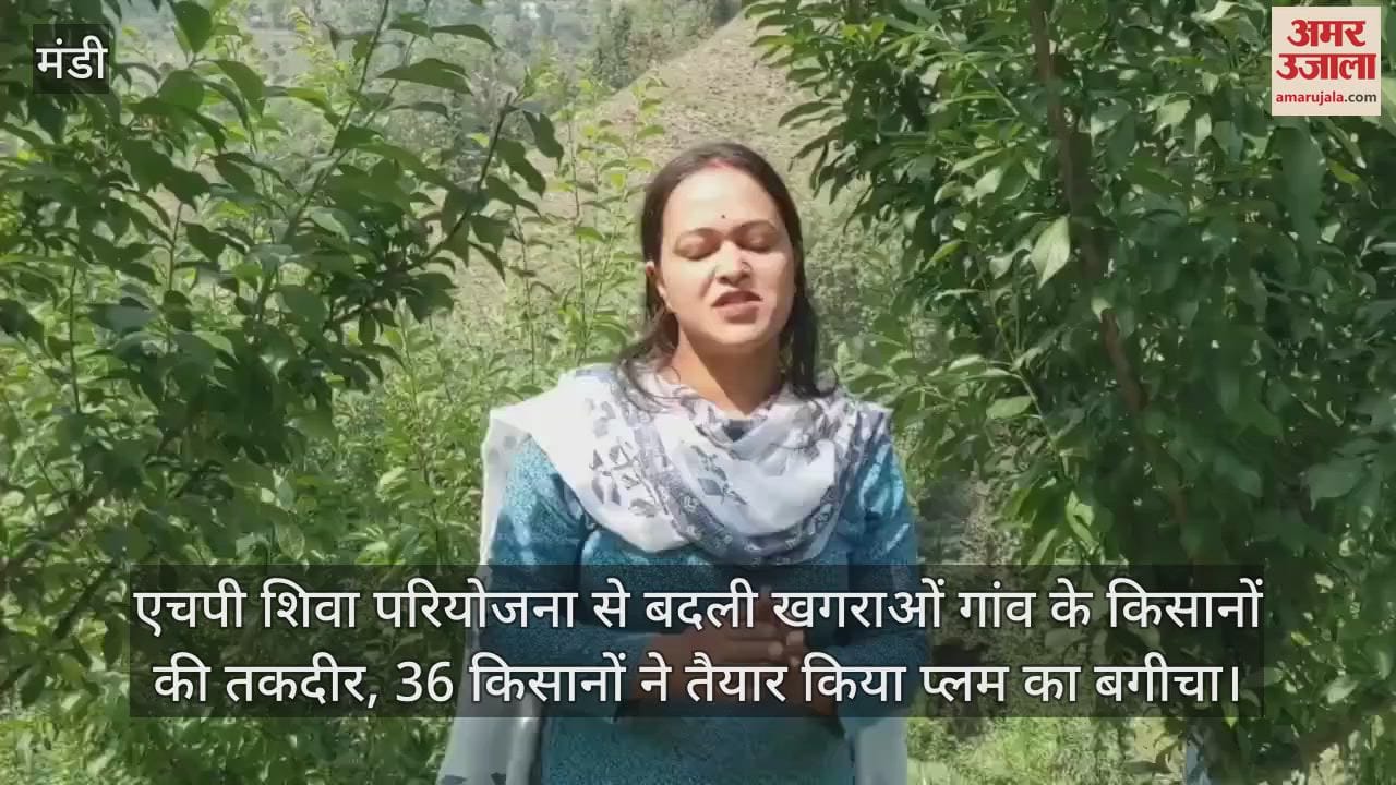 HP Shiva project changed the fate of the farmers of Khagraon village, 36 farmers prepared a plum garden
