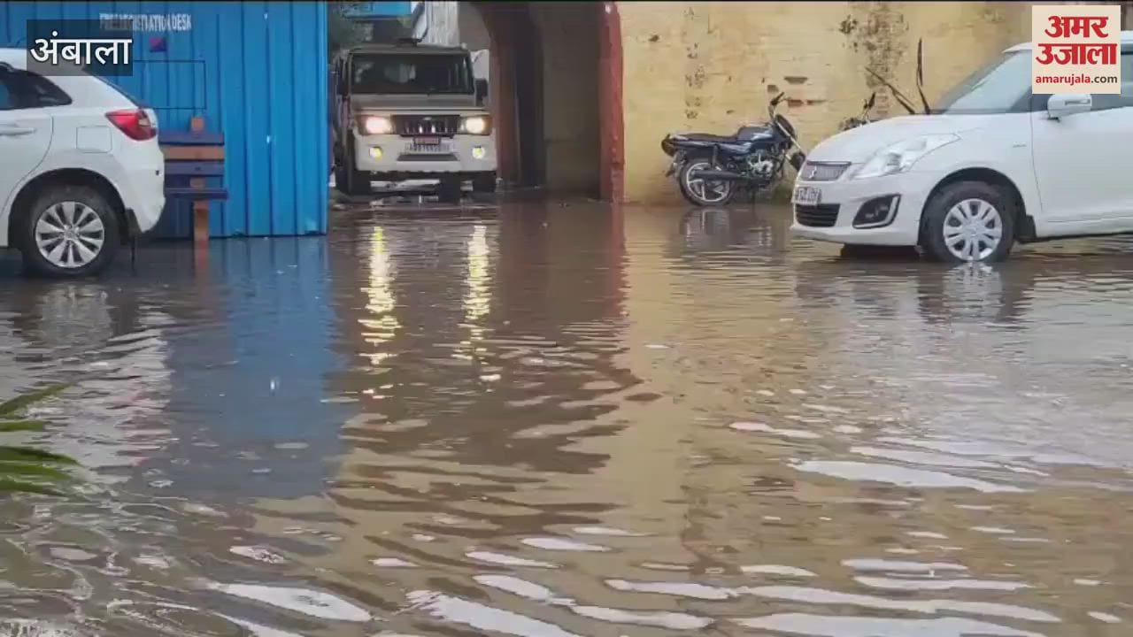 first rain in Ambala exposed the truth; Barara was submerged, the maize crop of the farmers was also washed away