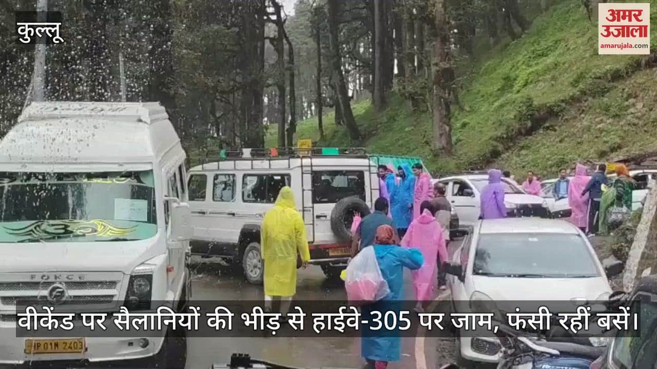 Due to the crowd of tourists on the weekend, Highway 305 was jammed, buses were stuck