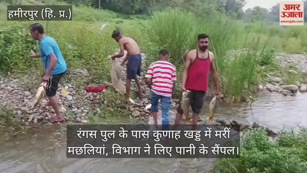 Fishes died in Kunah Khad near Rangas bridge, department took water samples