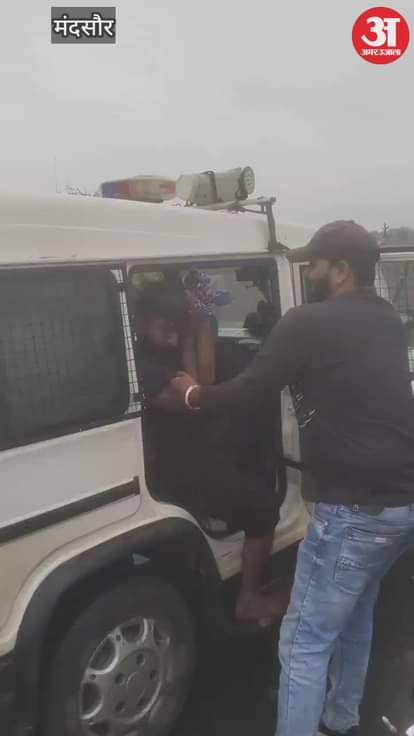 81 cows were freed after chasing the container for 9 km, 2 died, 4 arrested