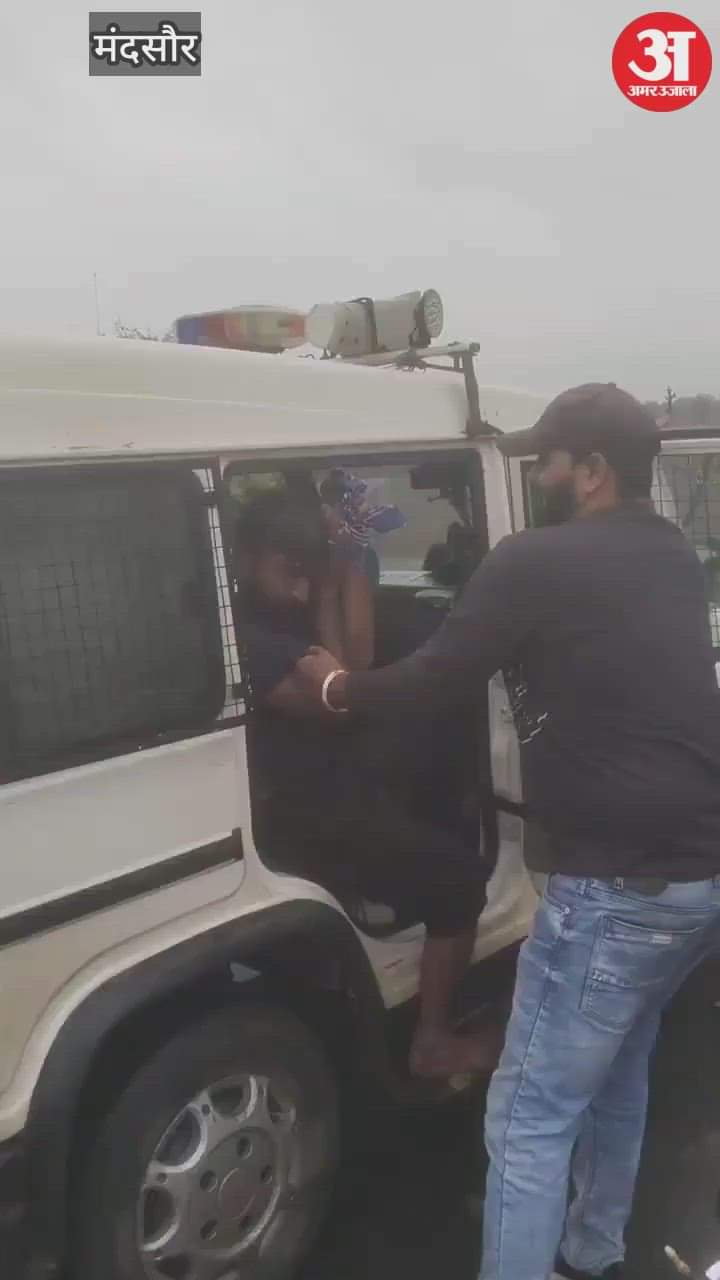 81 cows were freed after chasing the container for 9 km, 2 died, 4 arrested