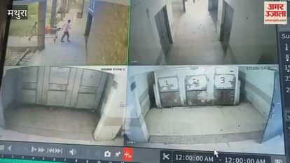 home guard posted at Vrindavan police station kept dead body in mortuary body rotting for 10 days