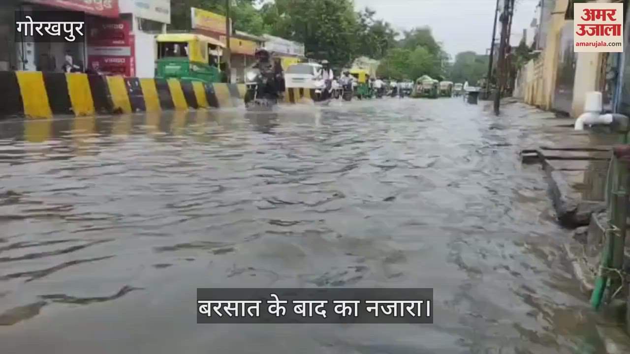 Humidity in weather due to rain, people's troubles increased