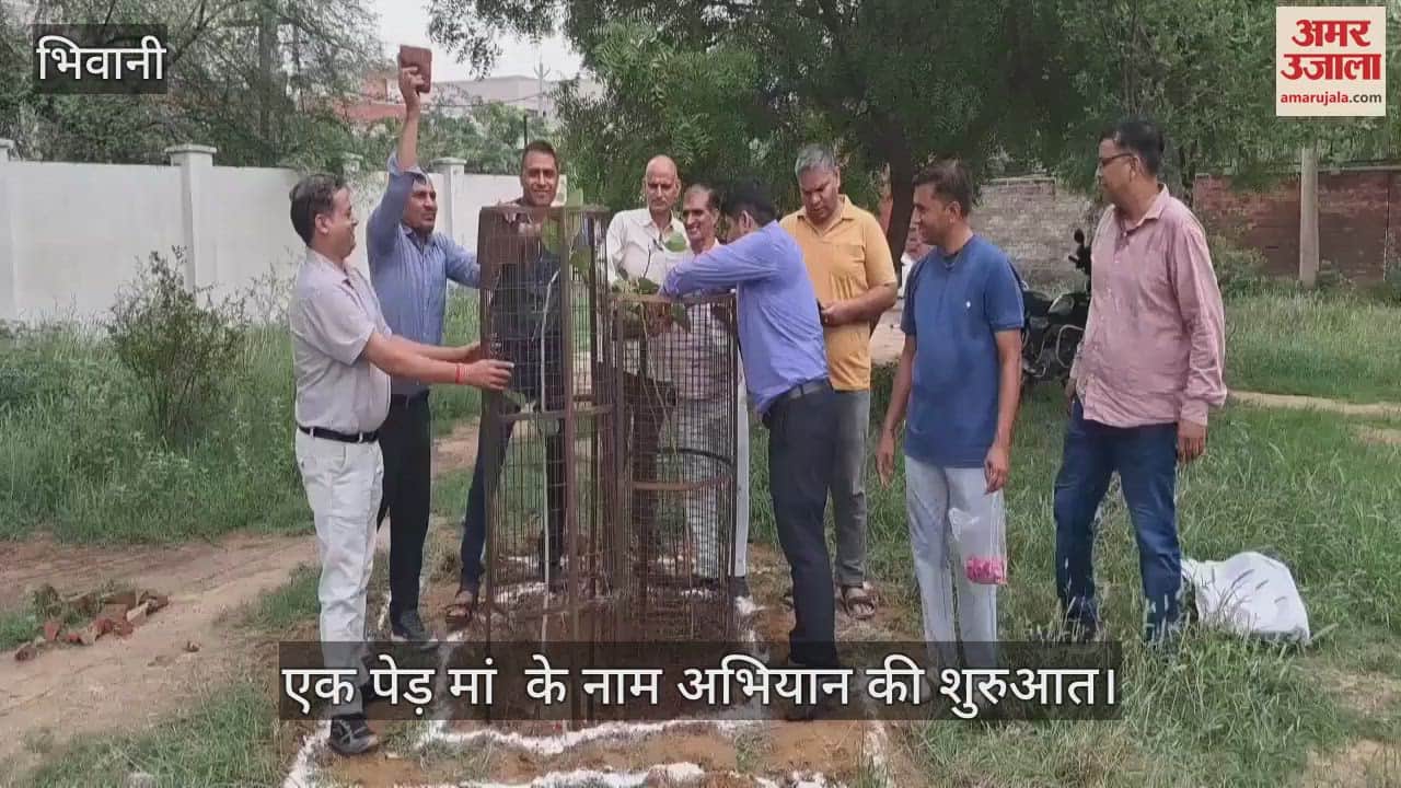 One tree in the name of mother campaign started