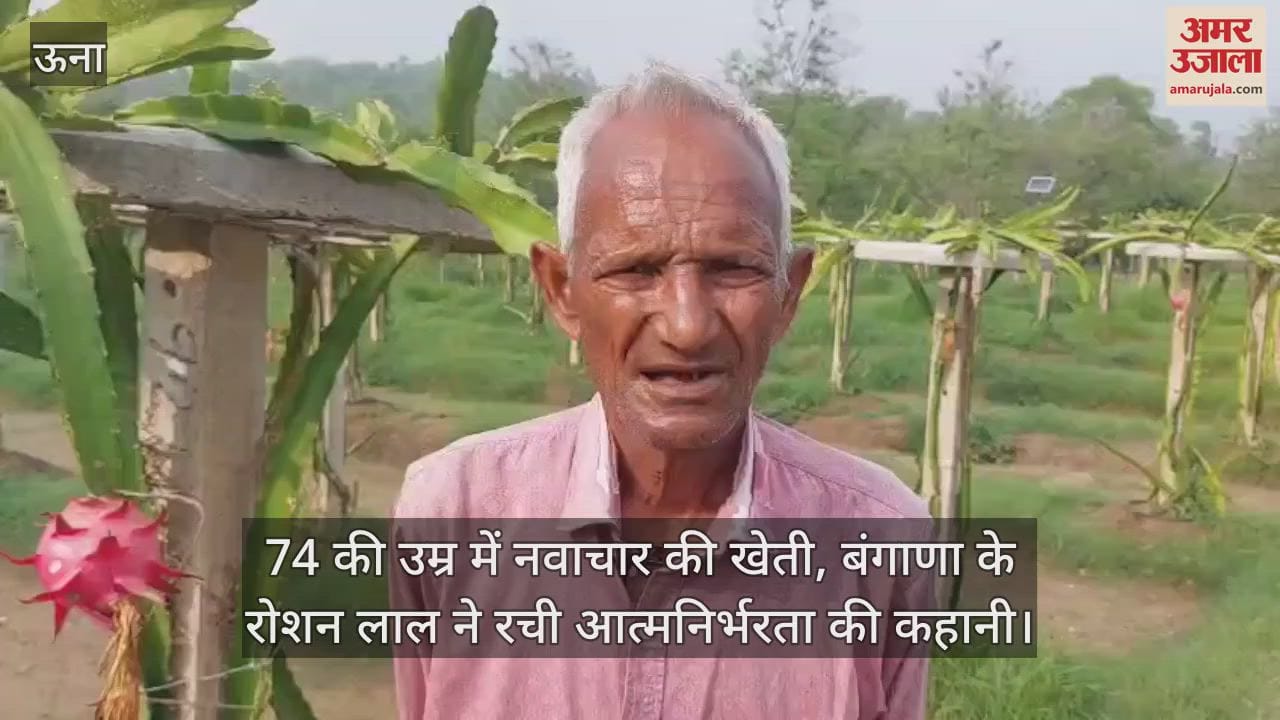 Una: Farming innovation at the age of 74, Roshan Lal of Bangana created a story of self-reliance