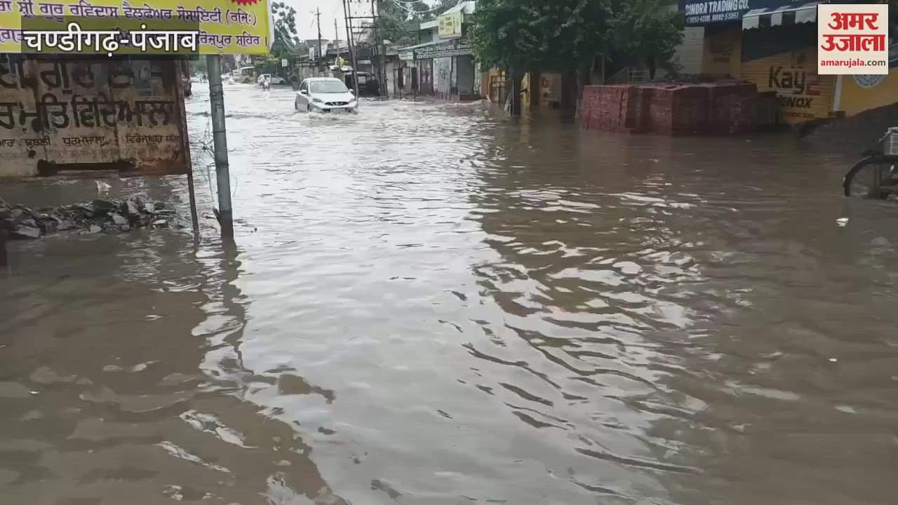Due to continuous rain in Ferozepur, the city is flooded with water