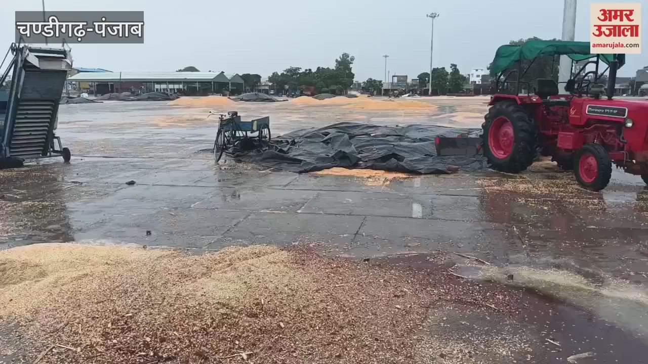 maize lying in the open sky in the market of Firozpur city was washed away in the rain