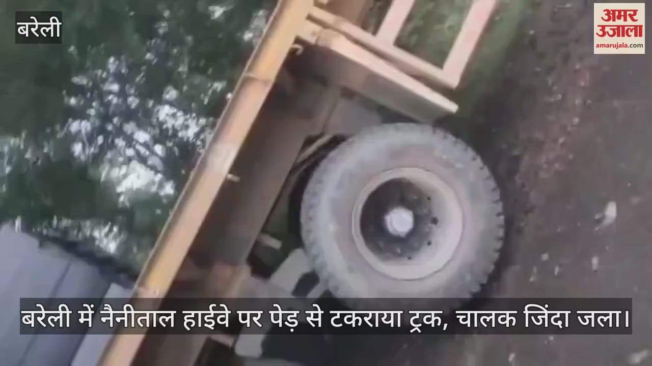 driver dies after truck collided with tree in Bareilly