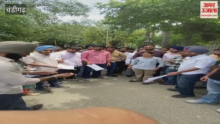 Protest Against Making Students Fill Affidavit In Punjab University – Amar Ujala Hindi News Live