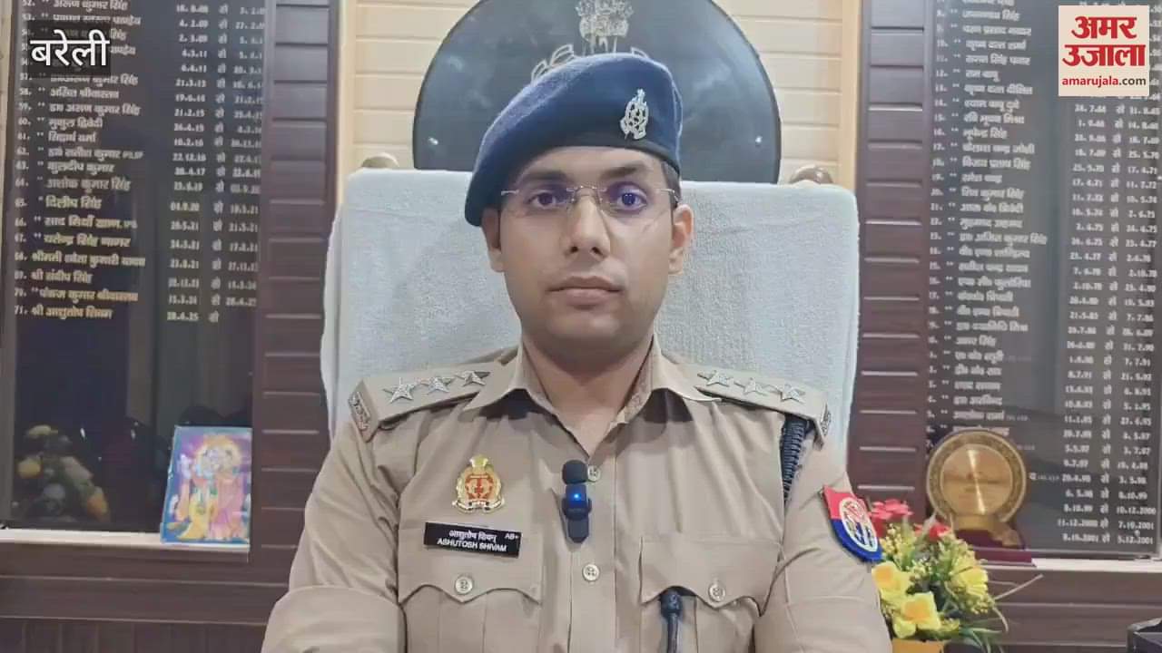 Fake news spread about Ambedkar statue being vandalised in Bareilly