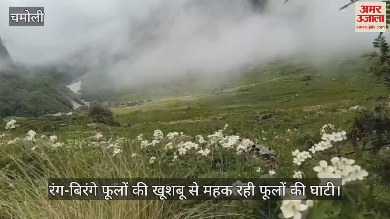 Valley of flowers is fragrant with the aroma of colorful flowers the number of foreign tourists increased