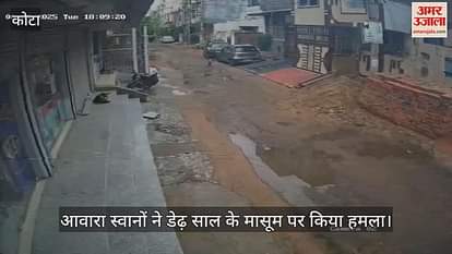 Kota News: Stray Dogs Maul one and a half year old innocent, Multiple Bite Injuries, Admitted to Hospital