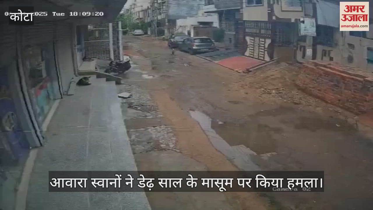 Kota News: Stray Dogs Maul one and a half year old innocent, Multiple Bite Injuries, Admitted to Hospital