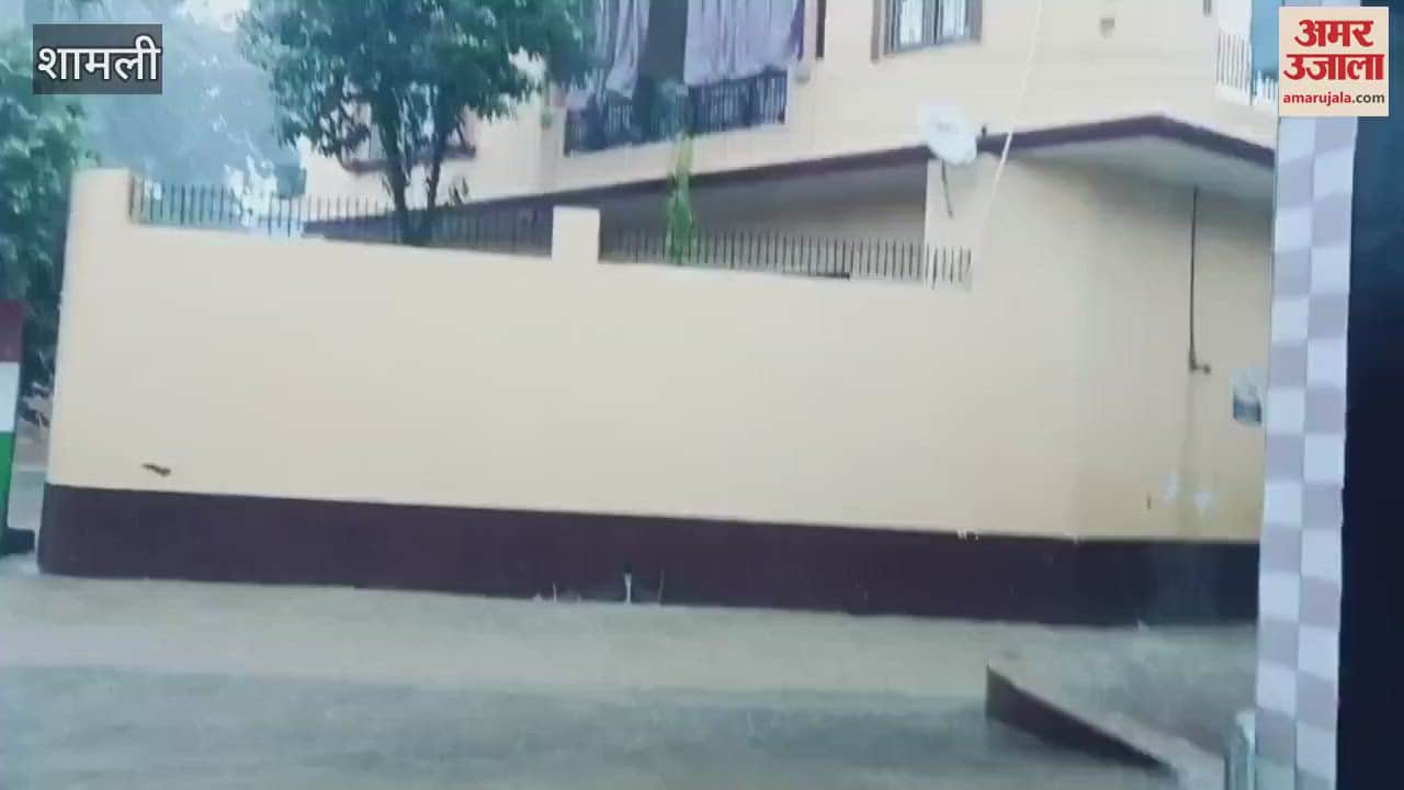 Rain brings relief in Shamli, pleasant weather delights but waterlogging troubles residents