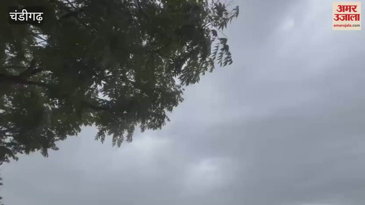 Weather became pleasant due to drizzle in Chandigarh