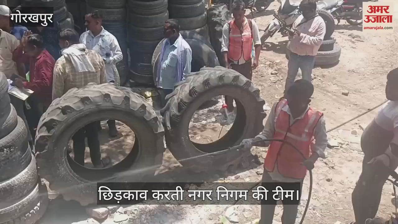 The municipal corporation team sprayed anti-larvae at tyre shops