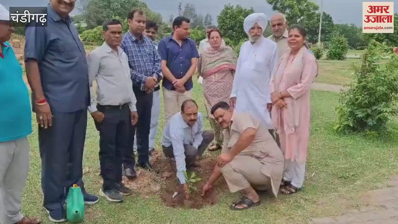 message of saving environment by planting 80 trees on his 80th birthday