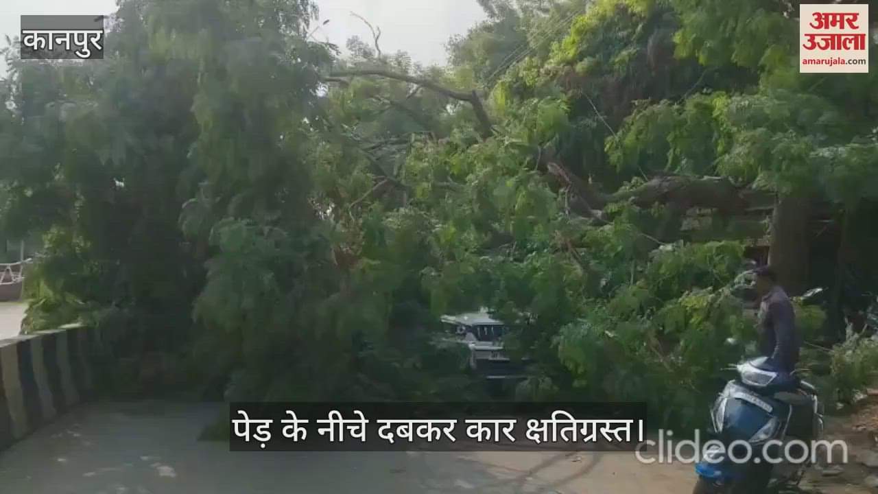 कानपुर में बीच सड़क में गिरा हरा-भरा पेड़, सड़क पर खड़ी कार गिरी…हुई क्षतिग्रस्त