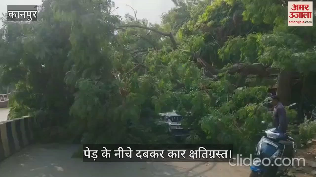 कानपुर में बीच सड़क में गिरा हरा-भरा पेड़, सड़क पर खड़ी कार गिरी…हुई क्षतिग्रस्त