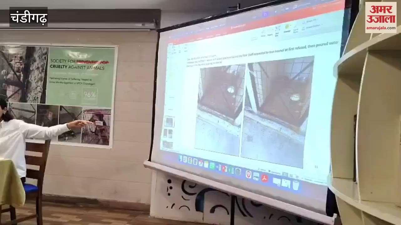situation in Chandigarh Society for Prevention of Cruelty to Animals is very bad