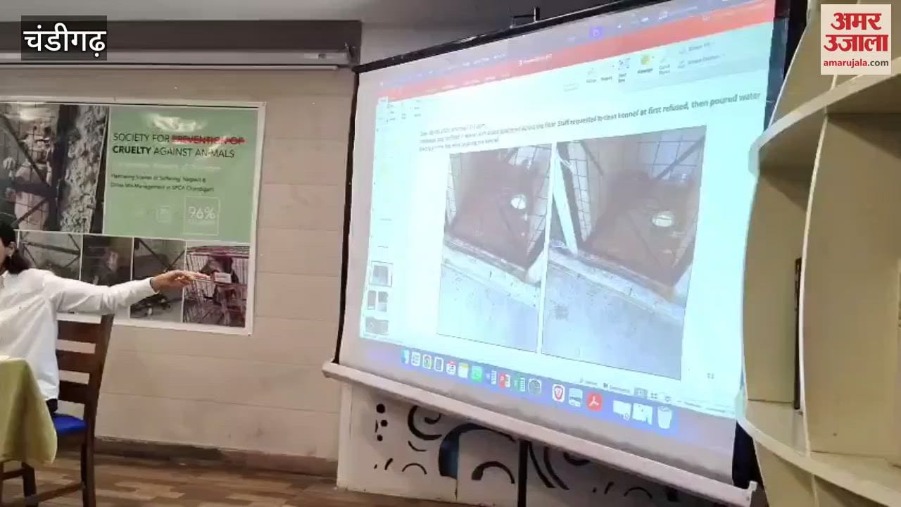 situation in Chandigarh Society for Prevention of Cruelty to Animals is very bad