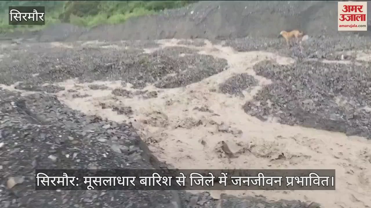 Sirmaur: Torrential rain affects life in the district