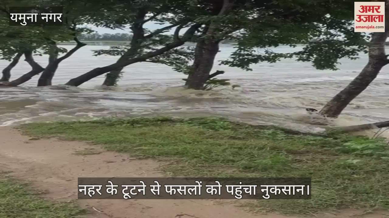 Crops were damaged due to the canal breaking