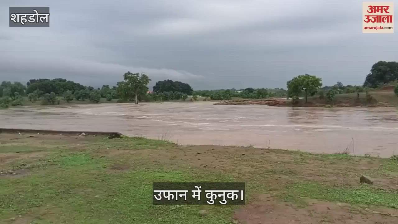 A woman died after being struck by lightning, the incident took place in Gurra village of Shahdol