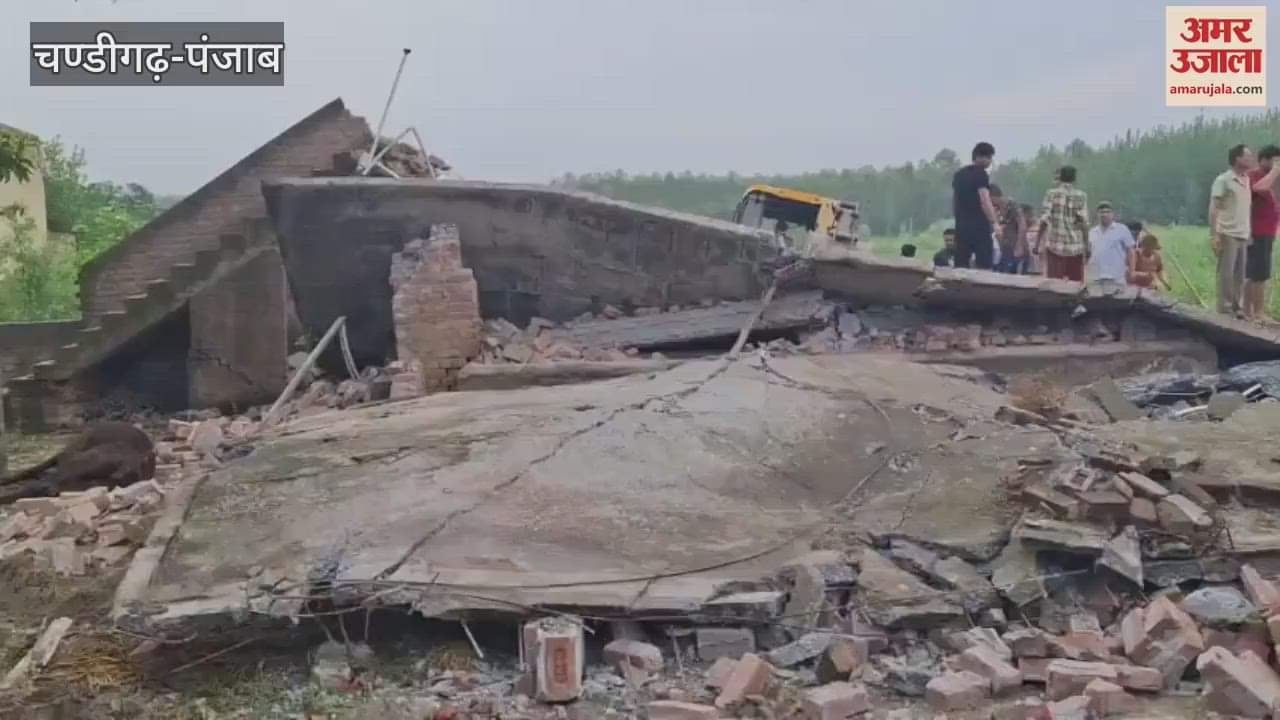 Roof of cowshed collapsed more than 20 cows died in Hoshiarpur