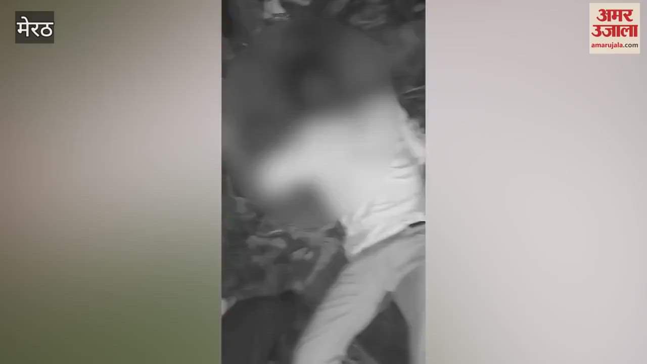 D-Pharma Student Brutally Beaten in Meerut's Jai Village Over Old Enmity, Assailants Flee