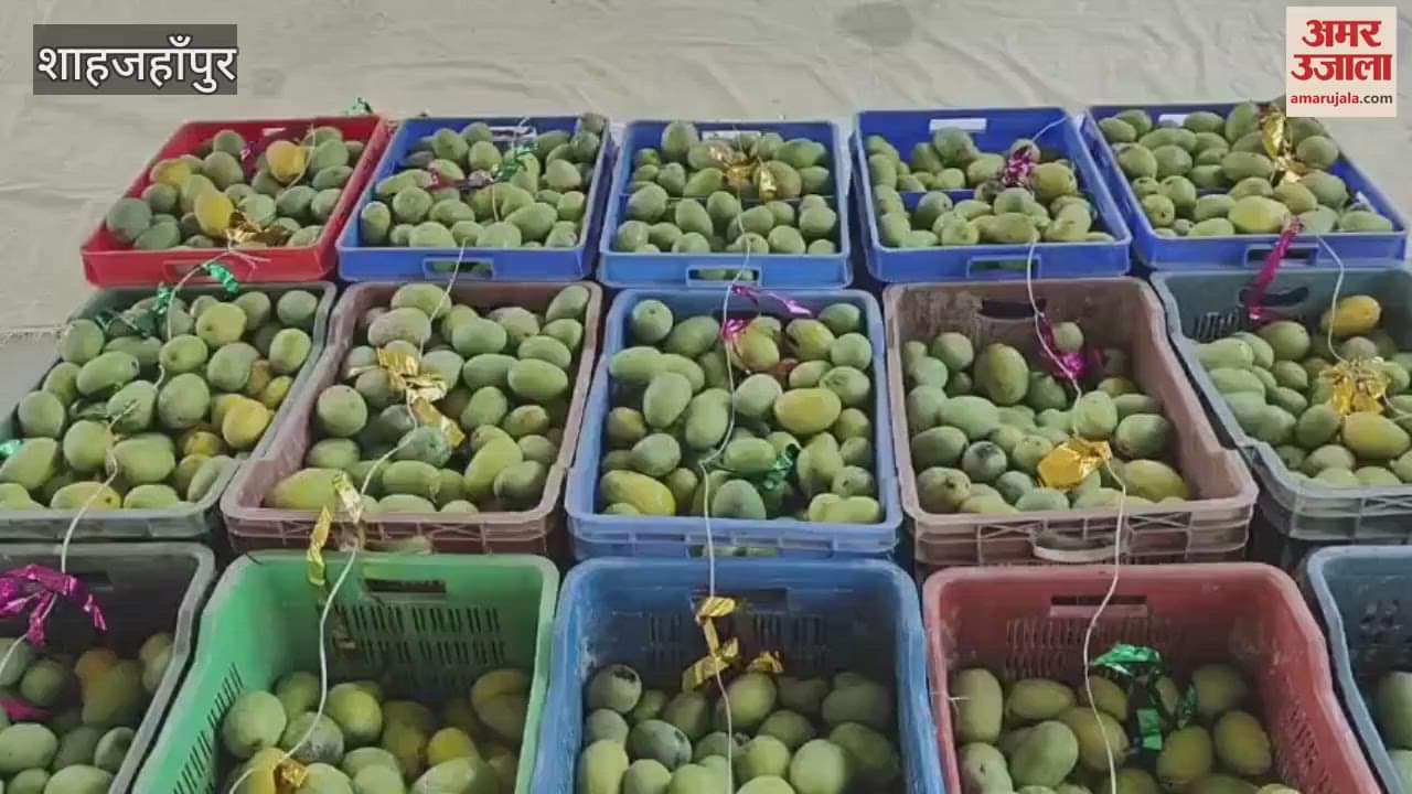 Prisoners tasted mango in Shahjahanpur district jail